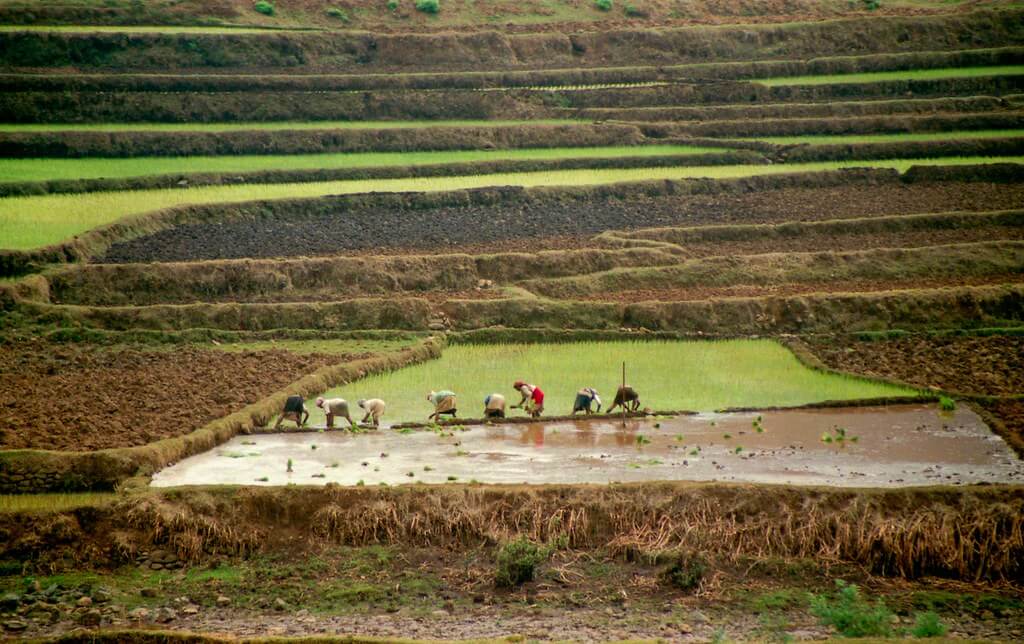 Day 4 - Andasibe to Antsirabe