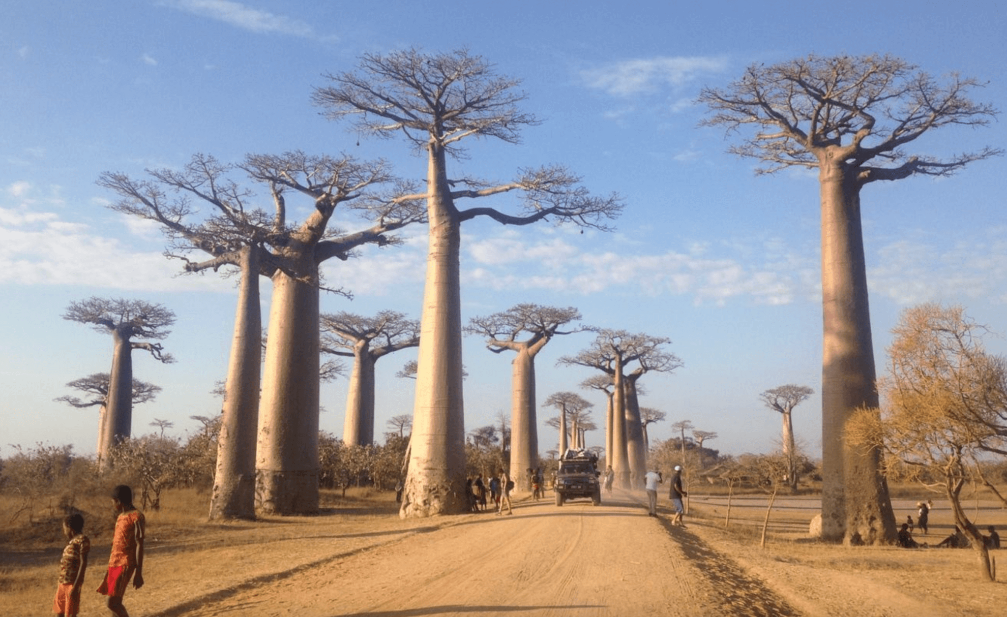 Day 7 - Morondava