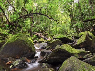 water flow in Madagascar