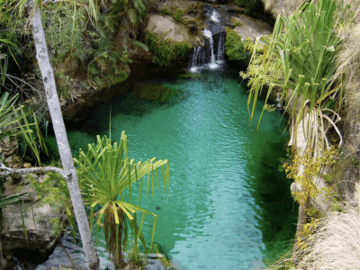 pond in Madagascar