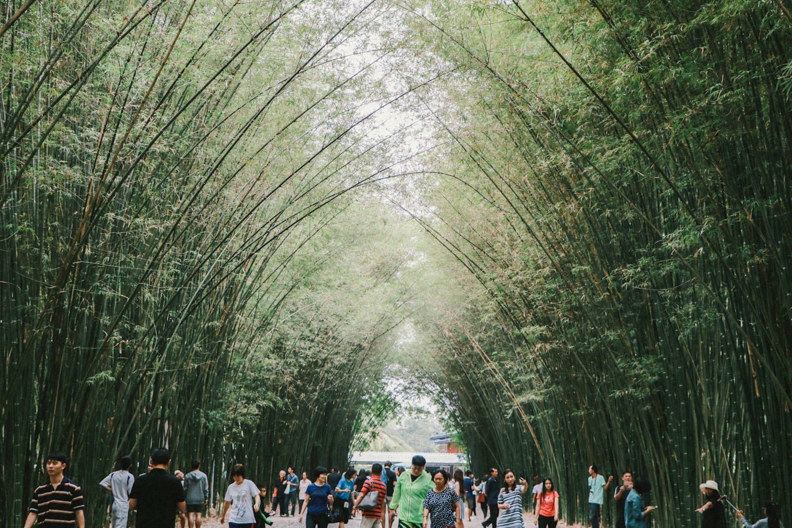 Day 8. Jeep Sunrise Tour- Toya Devaya Hot Springs- Bamboo Forest